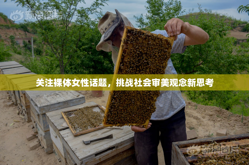 关注裸体女性话题，挑战社会审美观念新思考