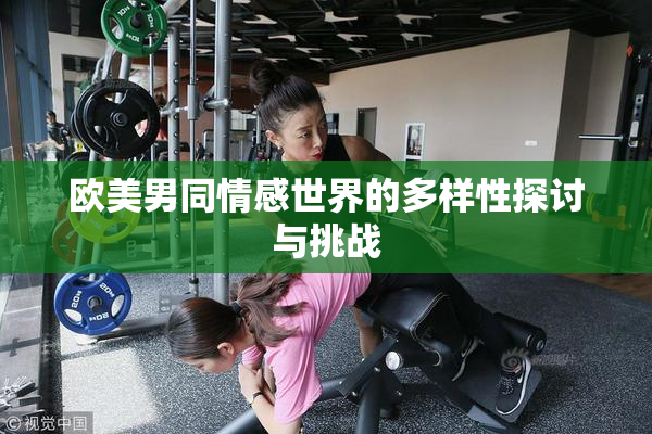 欧美男同情感世界的多样性探讨与挑战