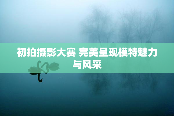 初拍摄影大赛 完美呈现模特魅力与风采