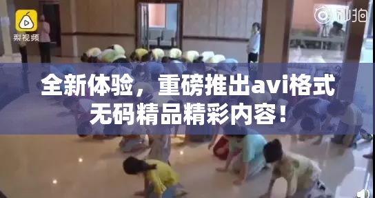全新体验，重磅推出avi格式无码精品精彩内容！