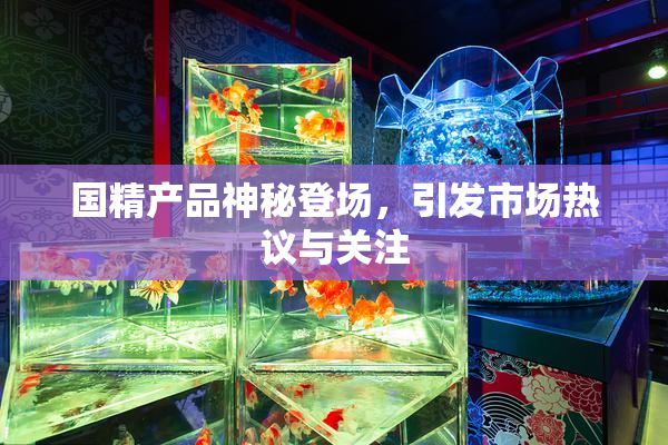 国精产品神秘登场，引发市场热议与关注