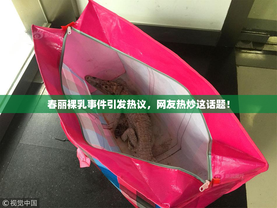 春丽裸乳事件引发热议，网友热炒这话题！