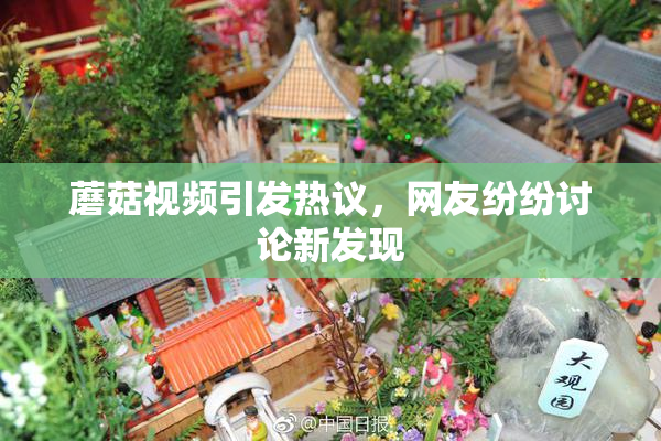 蘑菇视频引发热议，网友纷纷讨论新发现