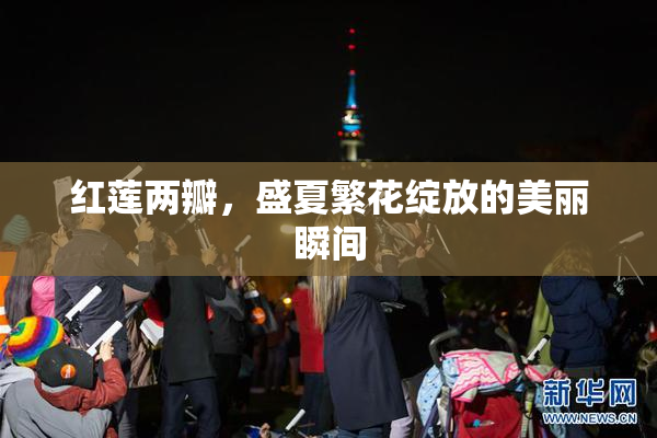 红莲两瓣，盛夏繁花绽放的美丽瞬间