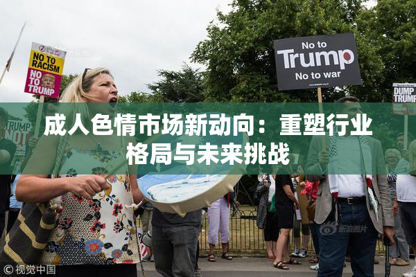 成人色情市场新动向：重塑行业格局与未来挑战