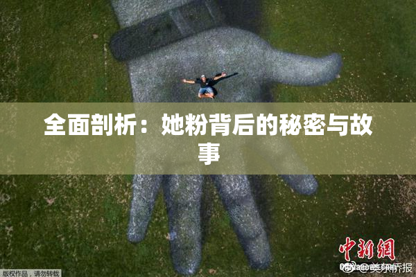 全面剖析：她粉背后的秘密与故事