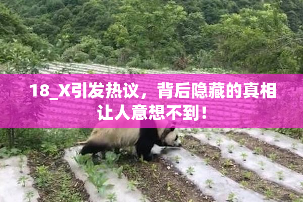 18_X引发热议，背后隐藏的真相让人意想不到！