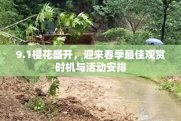 9.1樱花盛开，迎来春季最佳观赏时机与活动安排