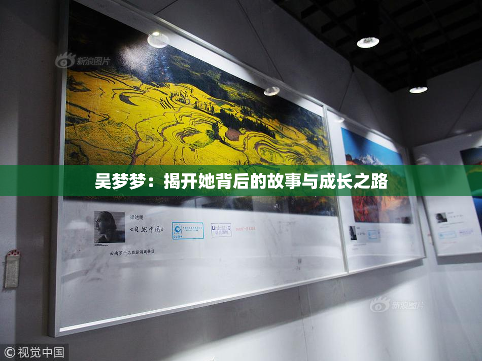 吴梦梦：揭开她背后的故事与成长之路