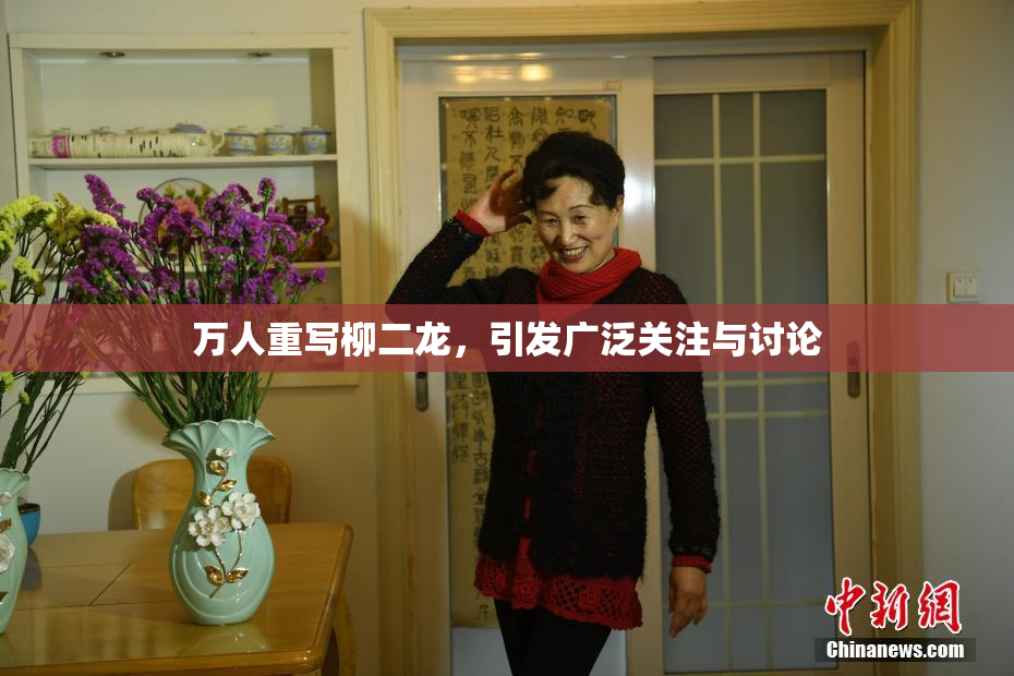 万人重写柳二龙，引发广泛关注与讨论