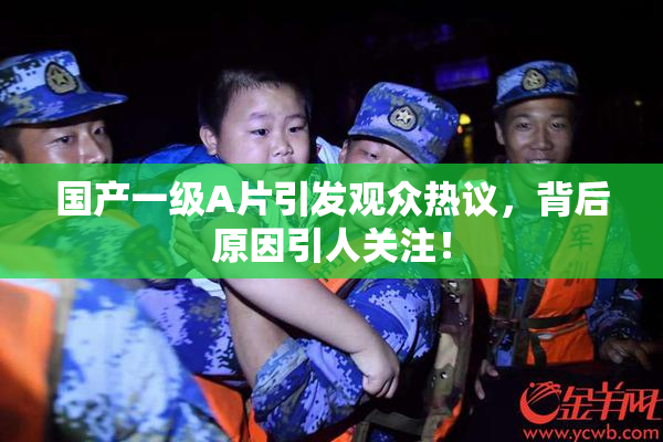 国产一级A片引发观众热议，背后原因引人关注！