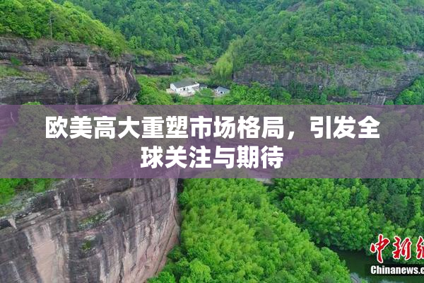 欧美高大重塑市场格局，引发全球关注与期待