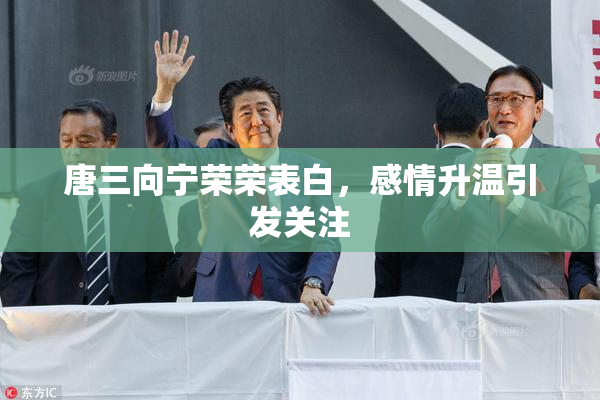 唐三向宁荣荣表白，感情升温引发关注