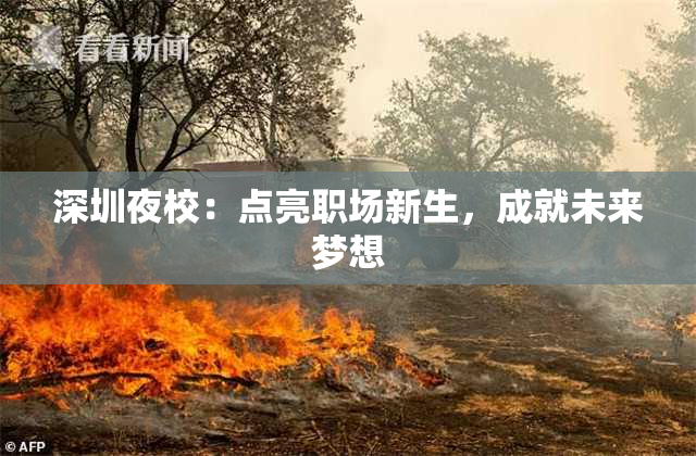 深圳夜校：点亮职场新生，成就未来梦想