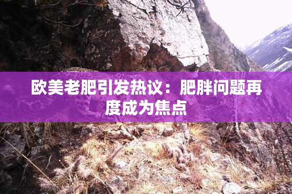 欧美老肥引发热议：肥胖问题再度成为焦点
