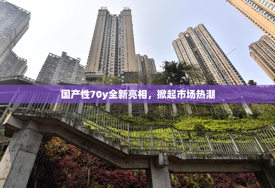 国产性70y全新亮相，掀起市场热潮