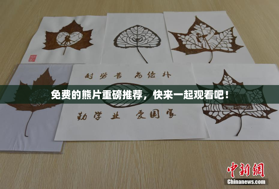 免费的熊片重磅推荐，快来一起观看吧！