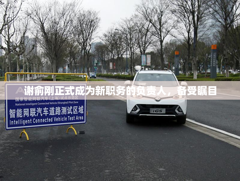 谢俞刚正式成为新职务的负责人，备受瞩目