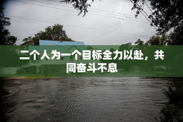 二个人为一个目标全力以赴，共同奋斗不息