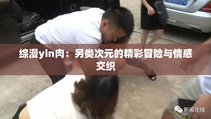 综漫yin肉：另类次元的精彩冒险与情感交织