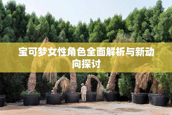 宝可梦女性角色全面解析与新动向探讨