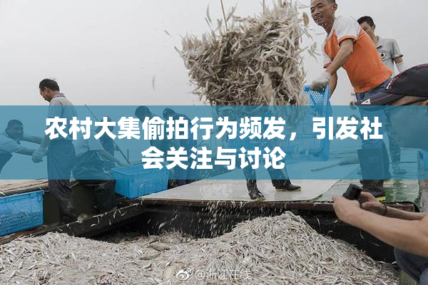 农村大集偷拍行为频发，引发社会关注与讨论