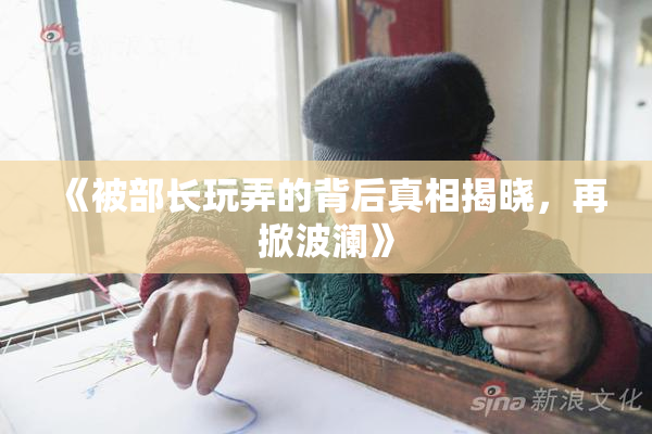 《被部长玩弄的背后真相揭晓，再掀波澜》