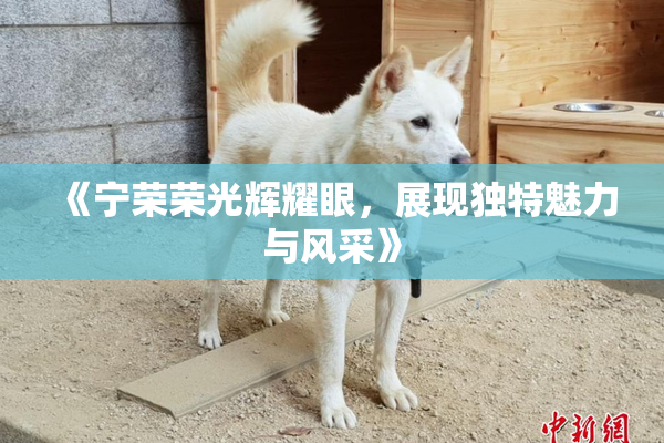 《宁荣荣光辉耀眼，展现独特魅力与风采》