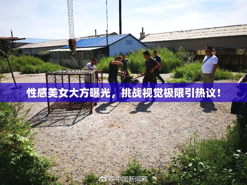 性感美女大方曝光，挑战视觉极限引热议！