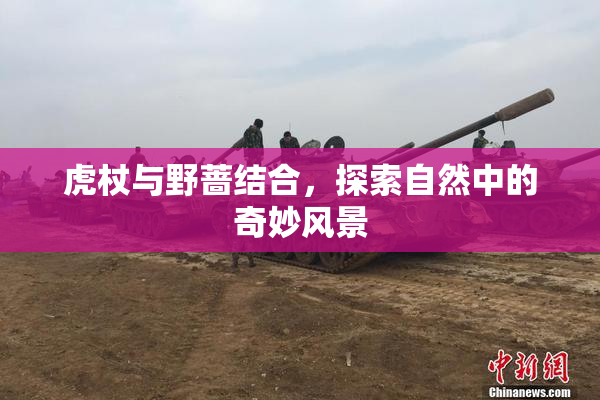 虎杖与野蔷结合，探索自然中的奇妙风景