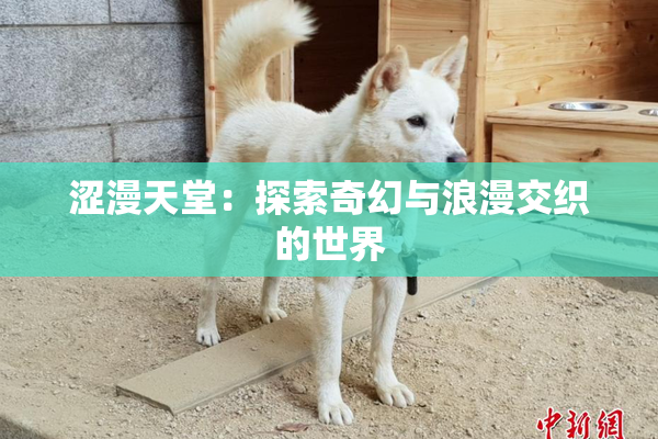 涩漫天堂：探索奇幻与浪漫交织的世界