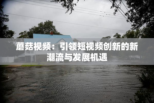 蘑菇视频：引领短视频创新的新潮流与发展机遇