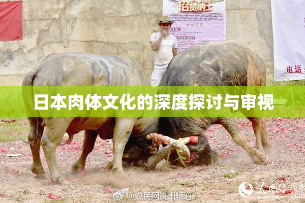 日本肉体文化的深度探讨与审视