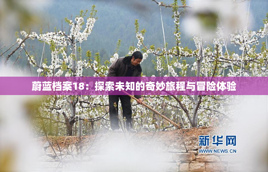 蔚蓝档案18：探索未知的奇妙旅程与冒险体验