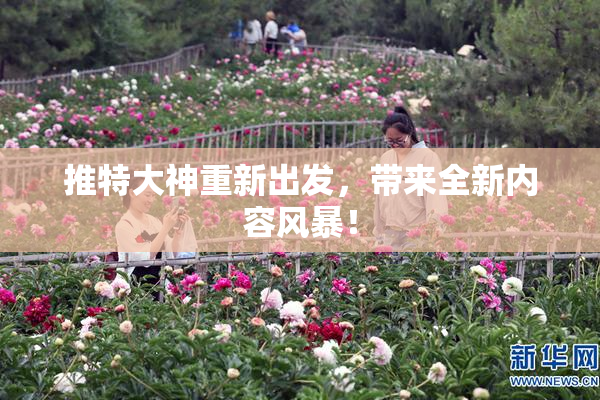 推特大神重新出发，带来全新内容风暴！