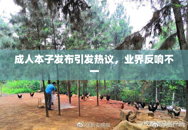 成人本子发布引发热议，业界反响不一
