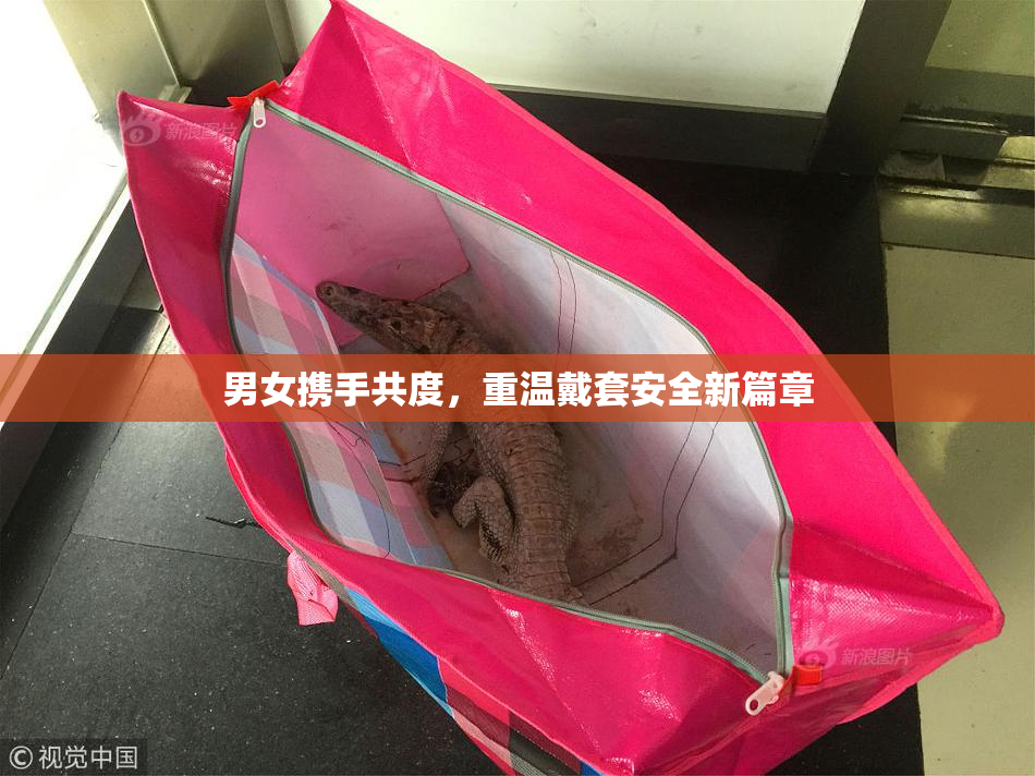 男女携手共度，重温戴套安全新篇章