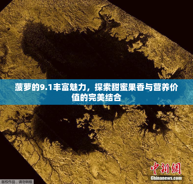 菠萝的9.1丰富魅力，探索甜蜜果香与营养价值的完美结合