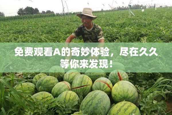 免费观看A的奇妙体验，尽在久久等你来发现！
