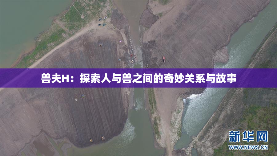 兽夫H：探索人与兽之间的奇妙关系与故事