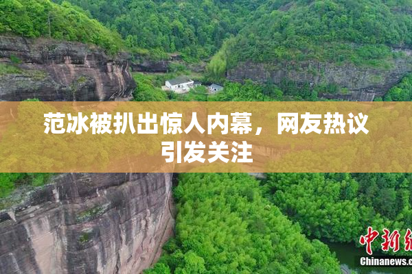 范冰被扒出惊人内幕，网友热议引发关注