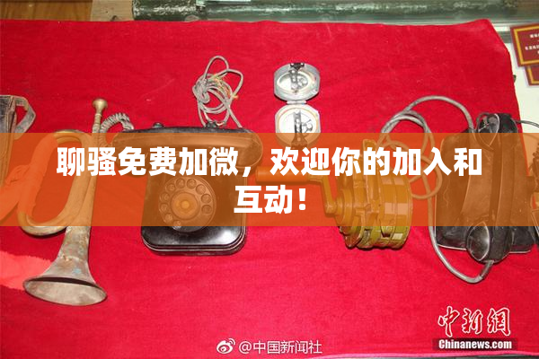 聊骚免费加微，欢迎你的加入和互动！