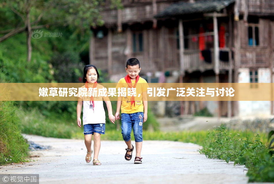 嫩草研究院新成果揭晓，引发广泛关注与讨论