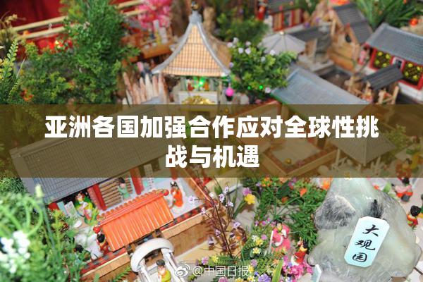 亚洲各国加强合作应对全球性挑战与机遇