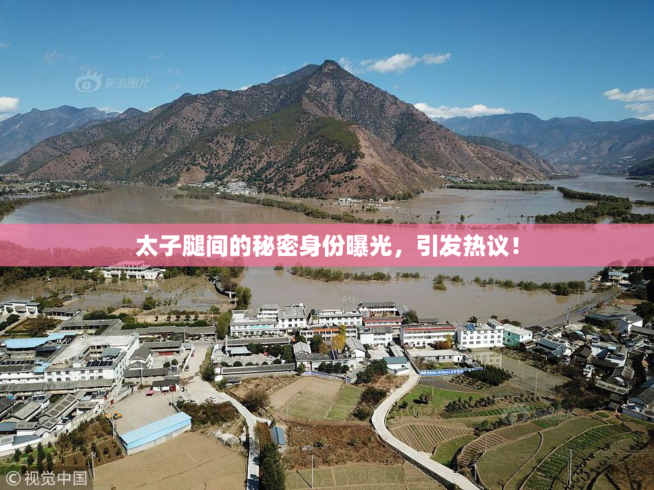 太子腿间的秘密身份曝光，引发热议！