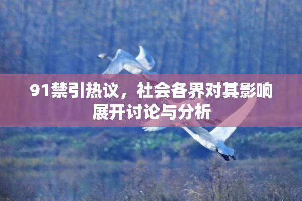 91禁引热议，社会各界对其影响展开讨论与分析