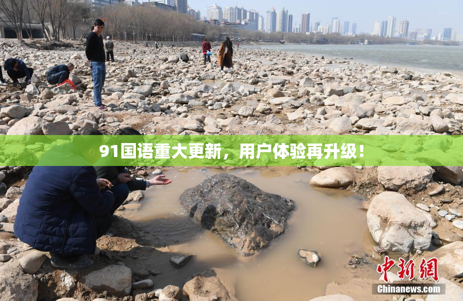 91国语重大更新，用户体验再升级！