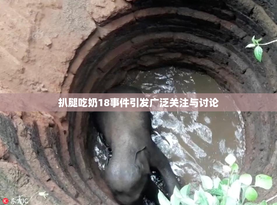 扒腿吃奶18事件引发广泛关注与讨论