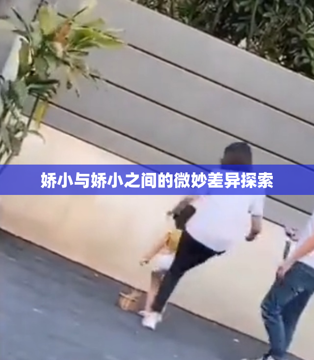 娇小与娇小之间的微妙差异探索