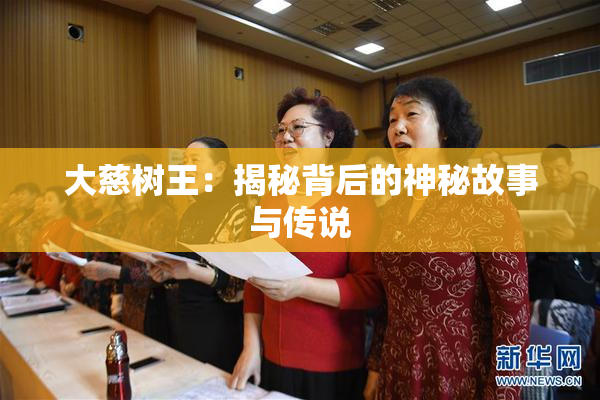 大慈树王：揭秘背后的神秘故事与传说